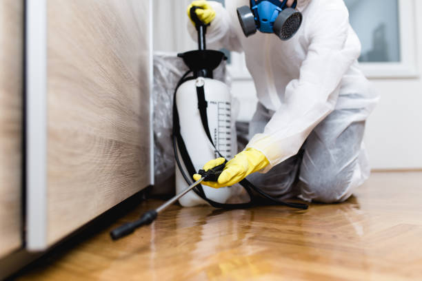 Reliable Rapid City, MI Pest Control Solutions