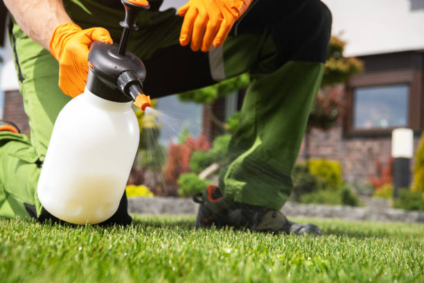 Best Rat Extermination Near Me  in Rapid City, MI