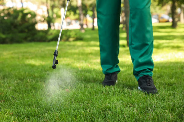 Best Spider Control Near Me  in Rapid City, MI