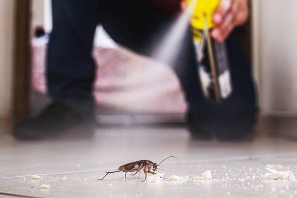 Best Emergency Pest Control  in Rapid City, MI