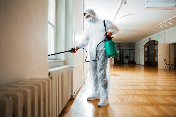Best Flea Control Services  in Rapid City, MI